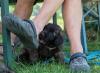 images/T-Wurf/T-Wurf Wo 6/3S8A2640.jpg
